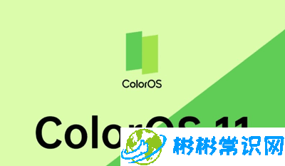 OPPOColorOS11系统新增了什么功能 ColorOS11新增功能介绍