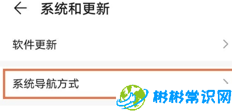 华为p40怎么去掉屏幕上的小白点 小白点去除方法教程