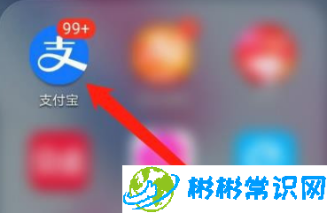 支付宝怎么开通1号卡 1号卡开通方法