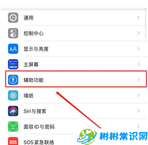 iOS14双击背面截屏怎么设置 双击背面截屏设置步骤