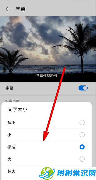 华为手机怎么调整字幕字号大小 字幕字号大小设置