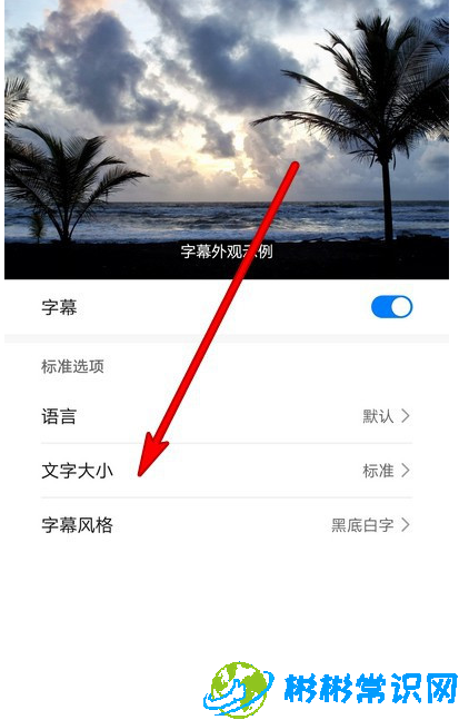 华为手机怎么调整字幕字号大小 字幕字号大小设置