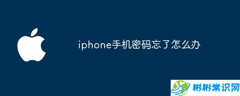 iphone,iphone手机