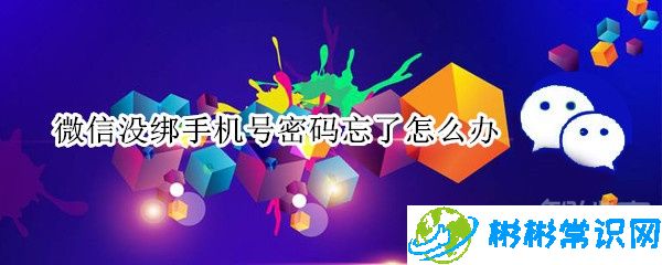 微信没绑手机号忘记密码无法登陆怎么办