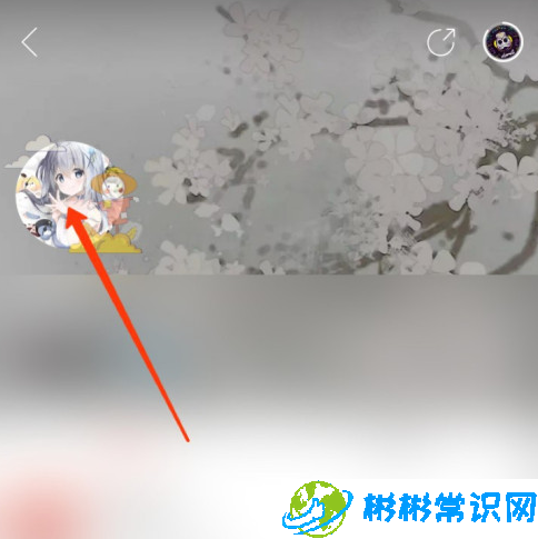 网易云音乐头像挂件怎么设置