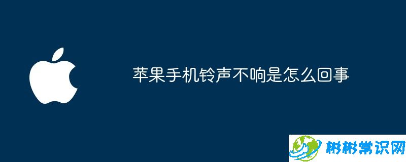 苹果手机铃声不响是怎么回事