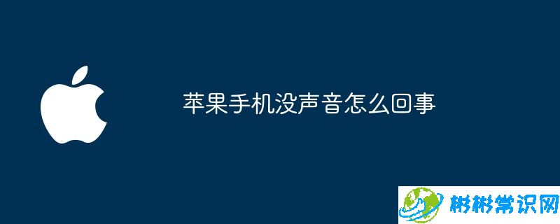 苹果手机没声音怎么回事