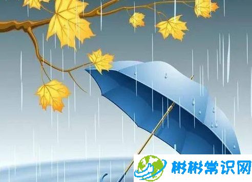 降雨!降雪!多地气温或创新低，你的秋裤准备好了吗？