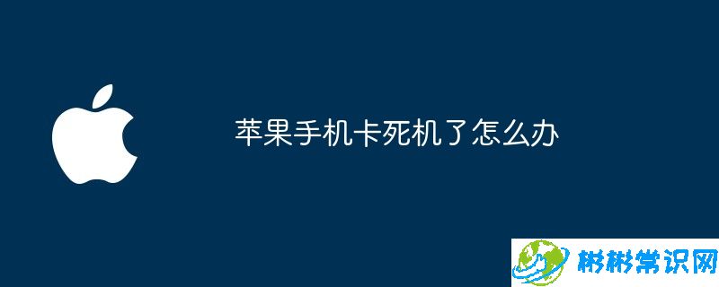 苹果手机卡死机了怎么办