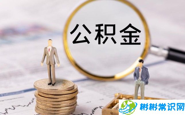 个人公积金缴存基数是什么意思，秒懂个人公积金缴存基数