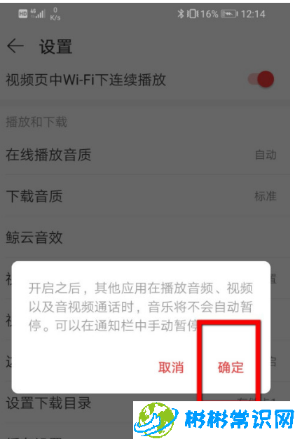 网易云音乐怎么开启与其他应用同时播放