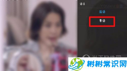 优酷播放语言怎么设置 播放语言切换教程
