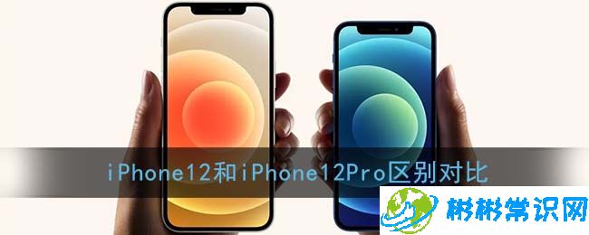 苹果12与12pro的区别是什么 iPhone12与12pro区别一览