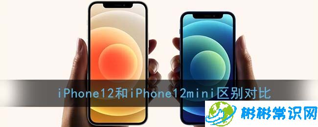 苹果12和12mini有什么区别 iPhone12和12mini价格配置对比