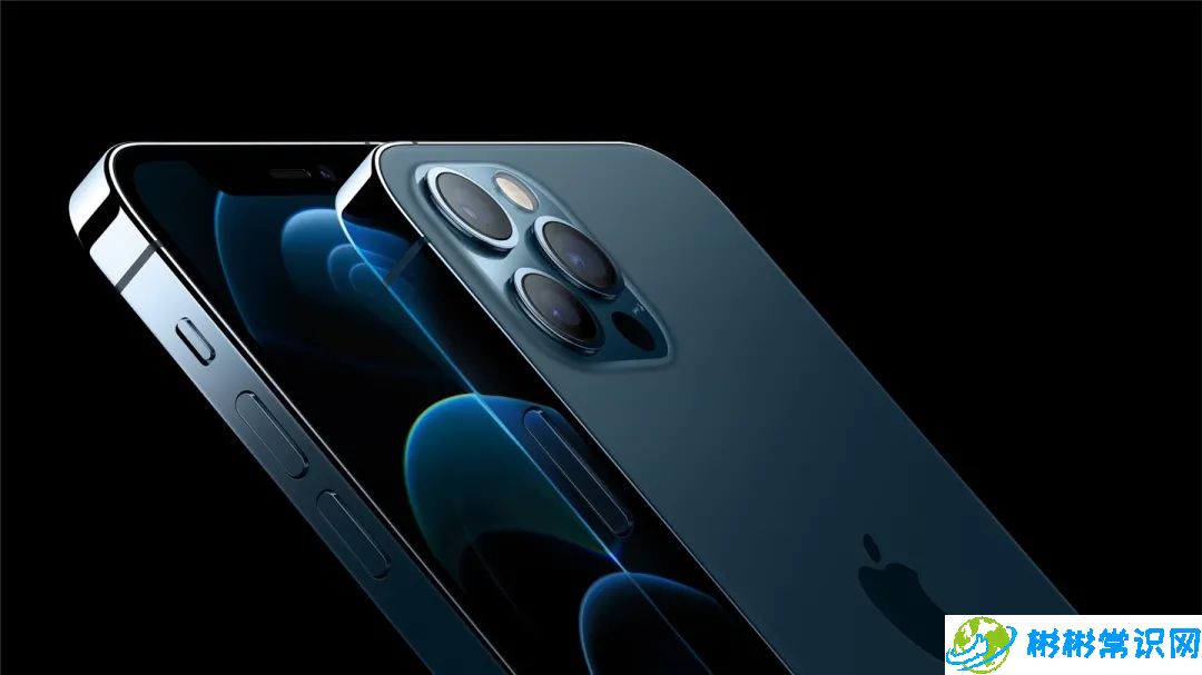 iphone12系列哪个值得买 参数对比iphone12系列