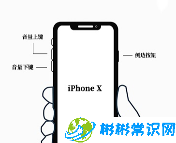 iphone,系统版本