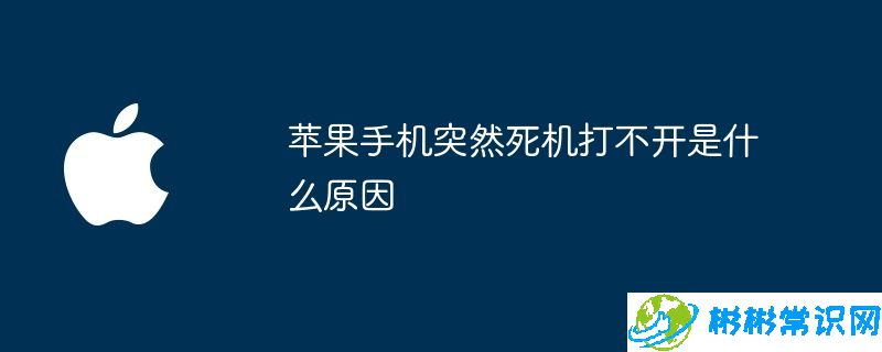 苹果手机突然死机打不开是什么原因