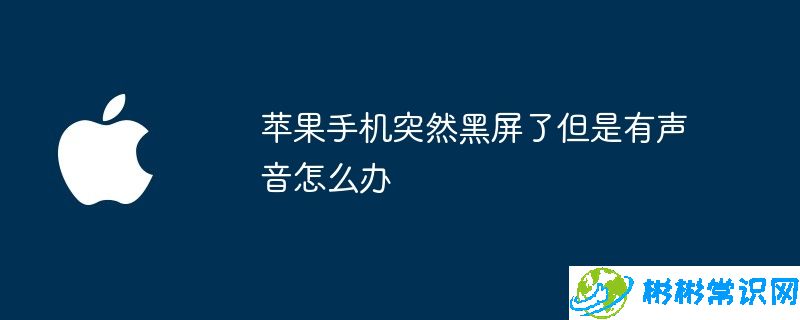 苹果手机突然黑屏了但是有声音怎么办