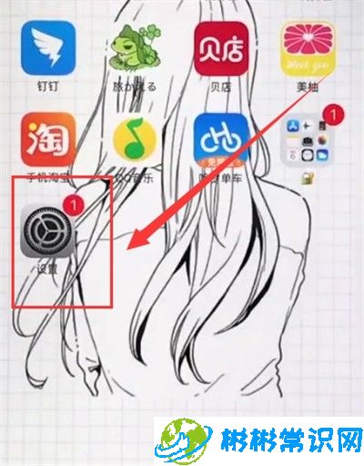 苹果6plus关闭APP使用移动数据的操作方法