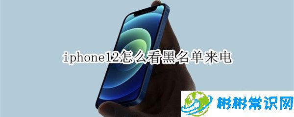 iphone12黑名单来电能看到吗_怎么查看黑名单来电