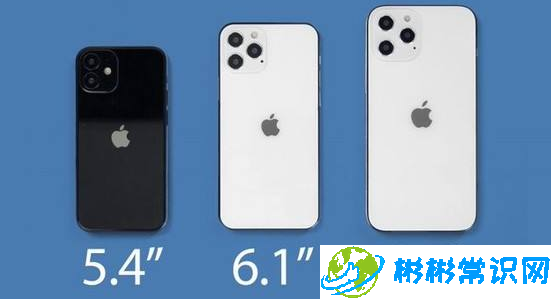 iphone12mini屏幕尺寸多大