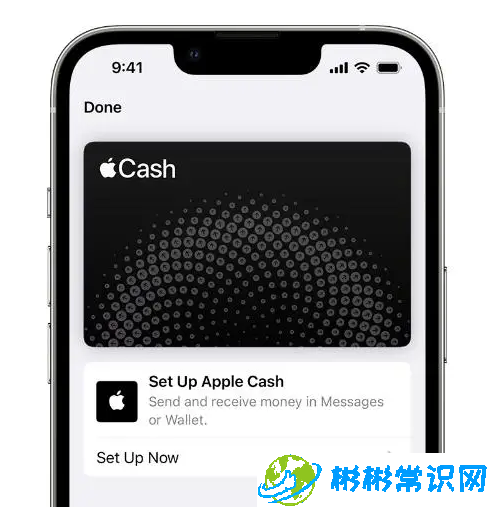 iOS 17.5设置Apple Cash虚拟卡号的4个步骤