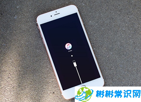 iPhone手机卡在iTunes图标界面怎么办？iPhone修复技巧分享！