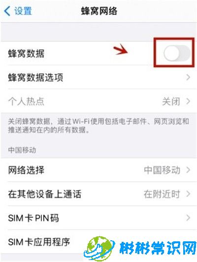 苹果手机数据流量在哪打开 苹果手机开启数据流量方法