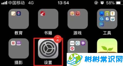 iPhone11pro max还原网络设置的具体方法