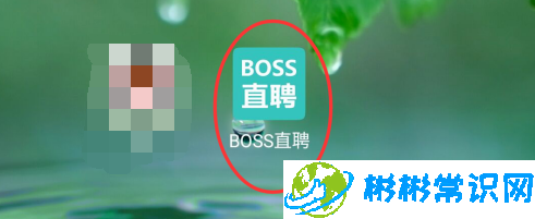 boss直聘夜间免打扰模式开启方法