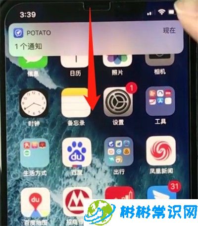 iphonexs中关闭横屏的操作步骤