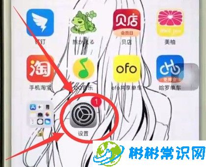 iphone6中把字体调大的简单步骤