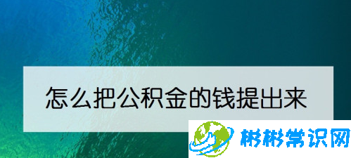 支付宝提取公积金方法是什么_提取公积金流程