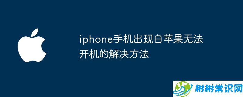 iphone手机出现白苹果无法开机的解决方法