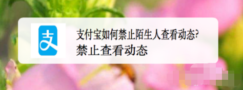 支付宝如何禁止陌生人查看动态_动态设置