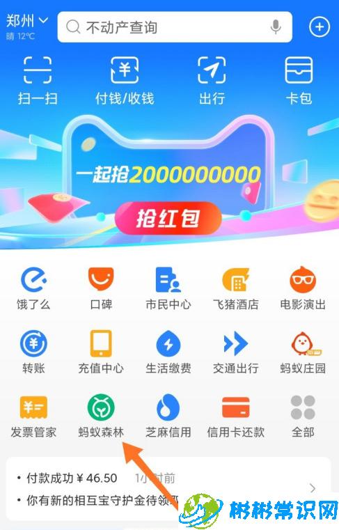 支付宝能量双击卡有什么用 能量双击卡使用方法