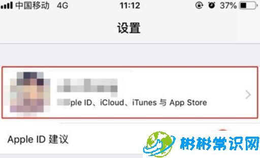 iPhone11pro max进行备份数据的方法介绍