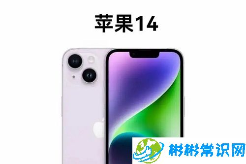 苹果14us版,相关介绍