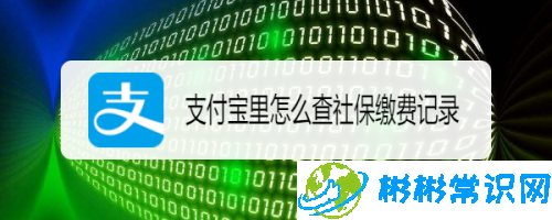 支付宝社保缴费记录怎么查_社保缴费记录查询