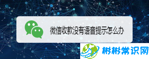 微信语音提示收款怎么设置_收款语音提醒开启方法