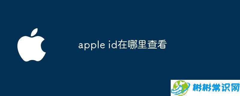 apple id在哪里查看