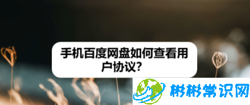 百度网盘用户协议怎么查看_用户协议查看步骤