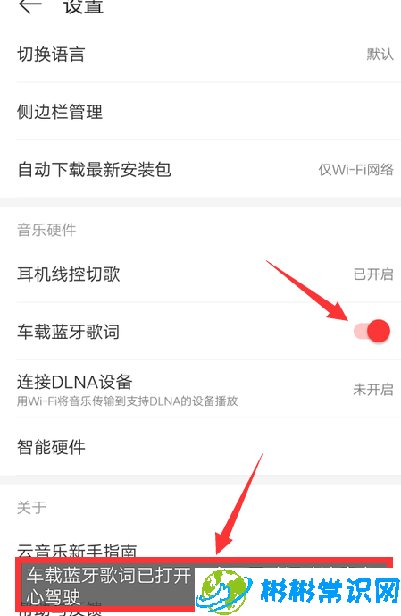 网易云音乐车载歌词怎么设置显示