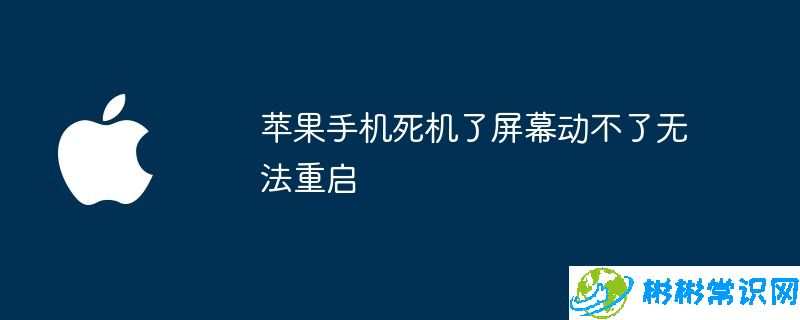 苹果手机死机了屏幕动不了无法重启