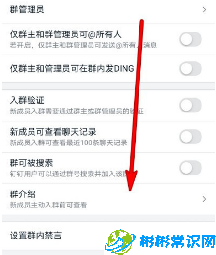 钉钉向管理员发起单聊怎么设置 开启发起单聊