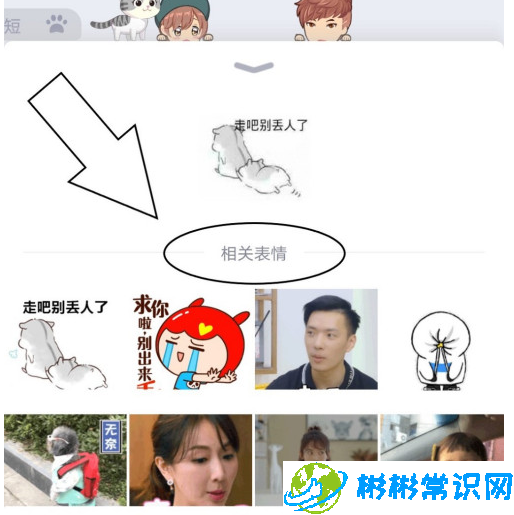 QQ表情包相关表情怎么查找 相关表情查找方法