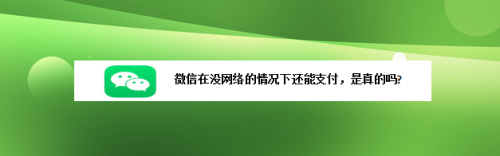 微信没网络还能支付吗_能不能付钱