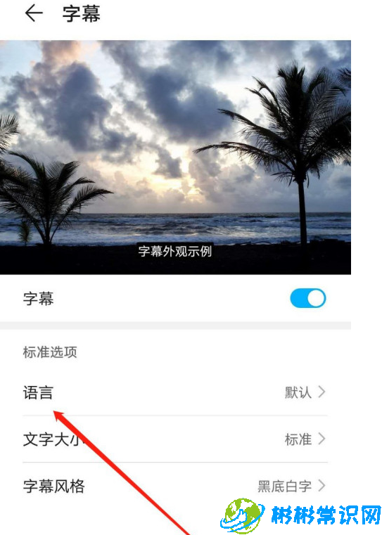 华为mate40怎么设置字幕语言为Eesti 字幕语言为Eesti设置教学