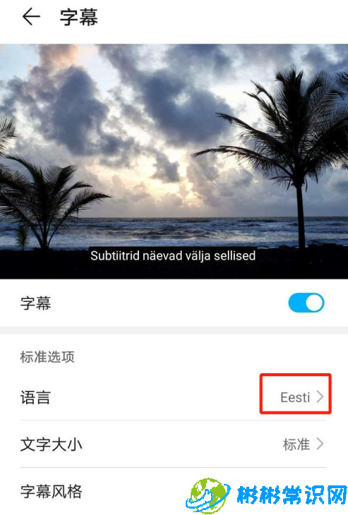 华为mate40怎么设置字幕语言为Eesti 字幕语言为Eesti设置教学