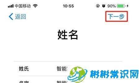 设置,苹果手机,iphone